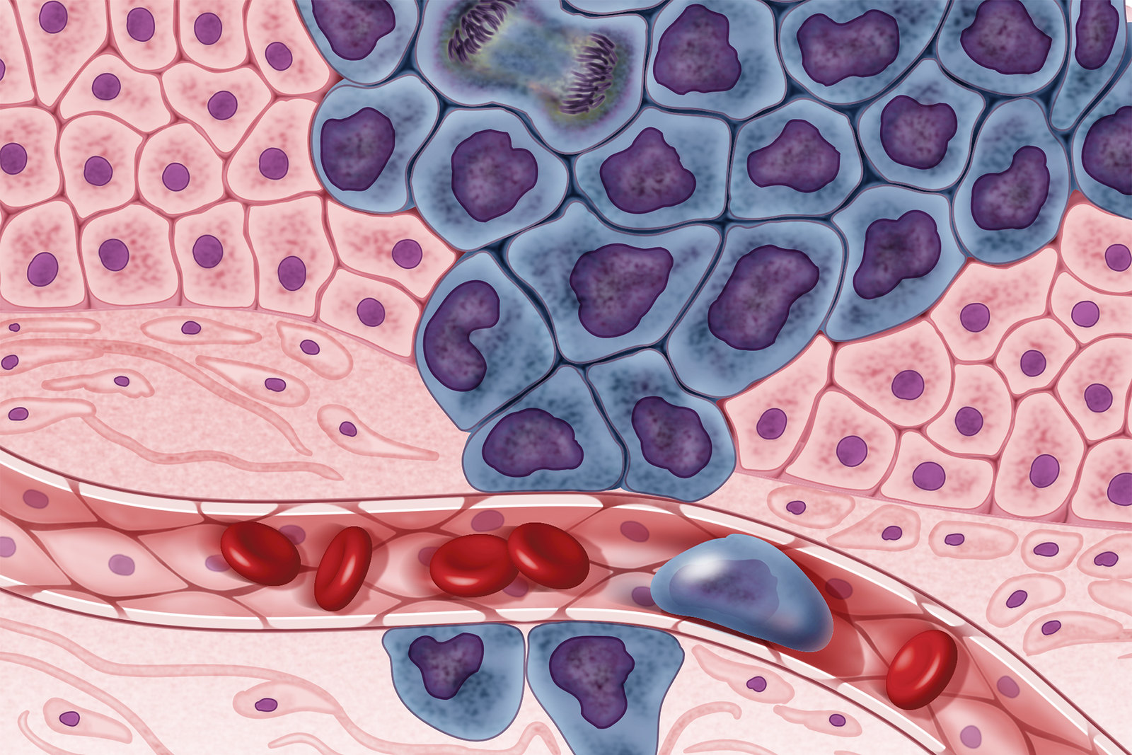This biologist aims to solve the cell’s biggest mystery