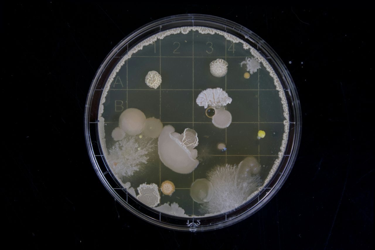 Every Single Cell in Your Body Could Be Conscious, Scientists Say