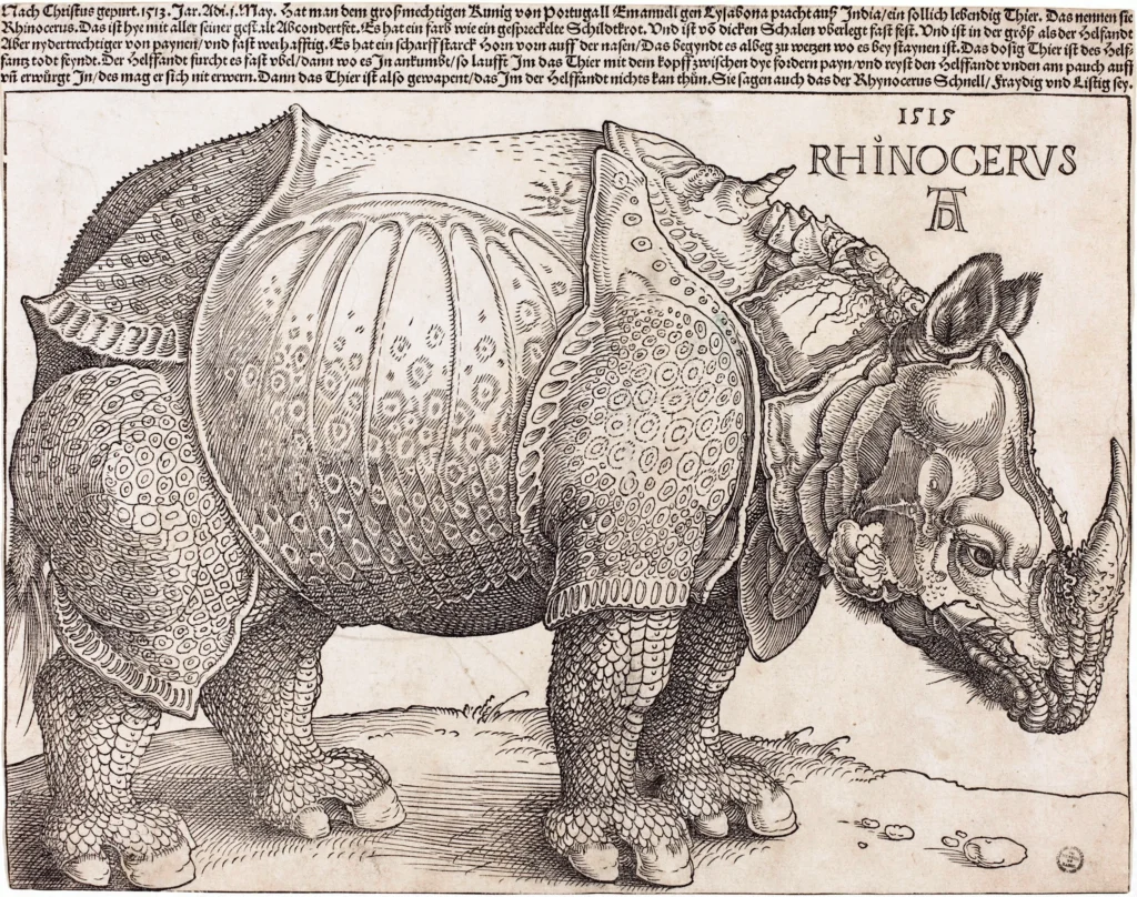 Albrecht Dürer’s woodcut The Rhinoceros, 1515 — ikonická renesančná ilustrácia nosorožca s obrnenými platňami, založená na písomnom opise zvieraťa, ktoré sa dostalo do Európy po prvý raz od antiky.