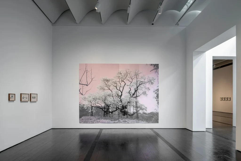 Tacita Dean – Trial of the Finger inštalácia v Marian Goodman Gallery Los Angeles (2026)