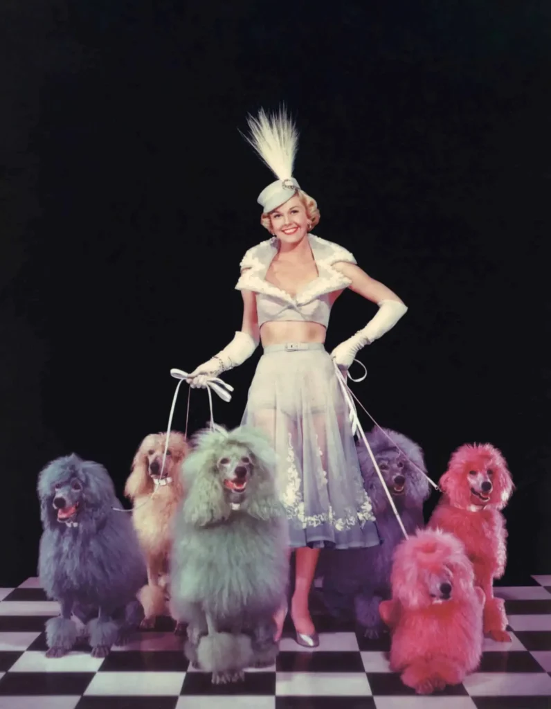 John Florea Doris Day Poodles April in Paris 1960 Fragile Beauty Jeu de Paume