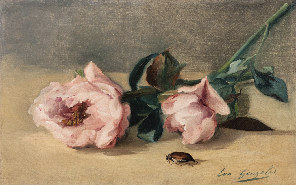 Les pivoines et le hanneton od Evy Gonzalès, kvety pivoniek so chrústom