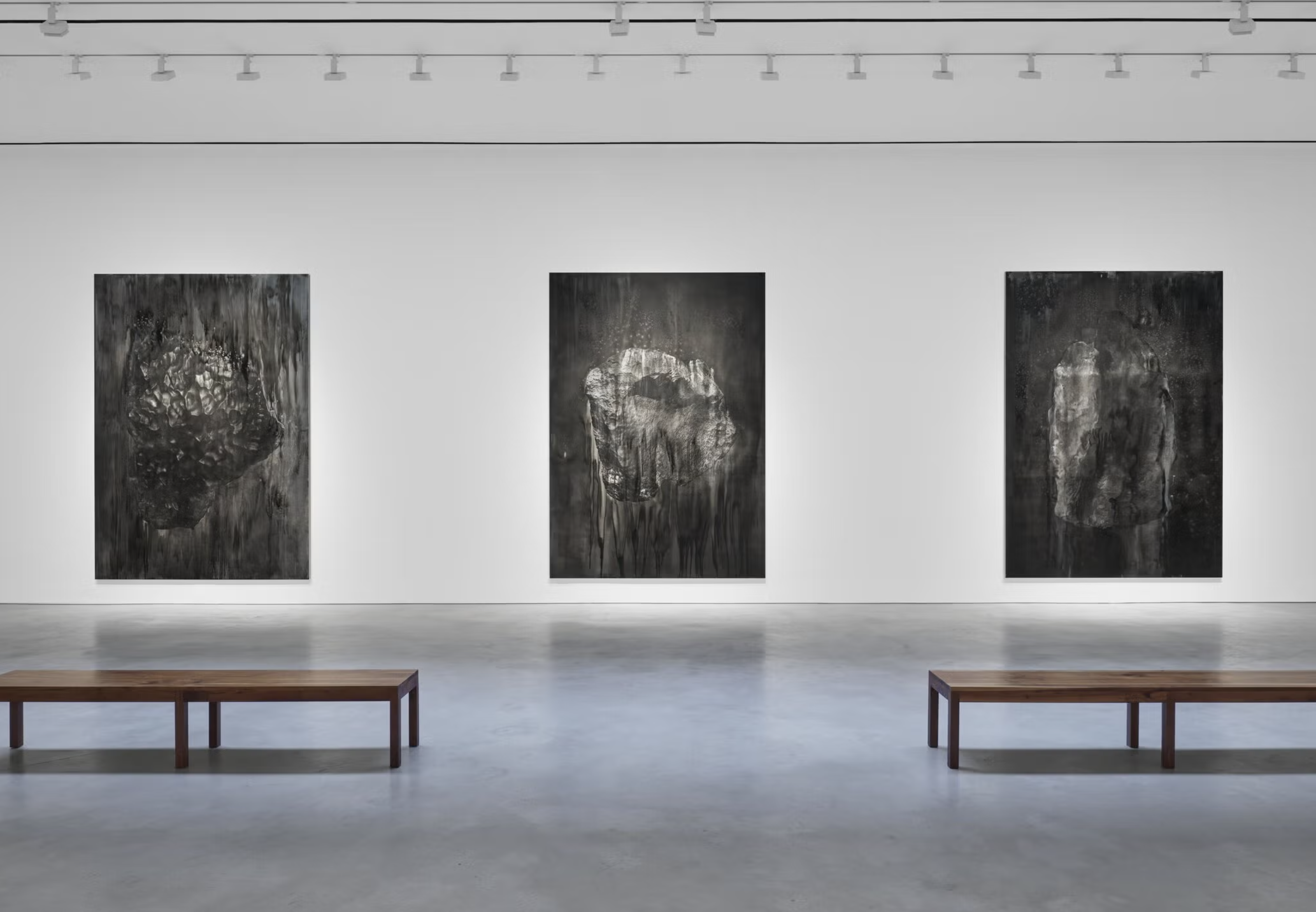 Na výstave Earth & Sky v newyorskej Hauser & Wirth sa Lorna Simpson obrátila k nebu. Ľudské a vesmírne dejiny spája do malieb v strieborných a hlbokých sivých tónoch, ktoré pripomínajú hviezdnu oblohu aj jej tieň. Courtesy Lorna Simpson a Hauser & Wirth. Foto: Thomas Barratt